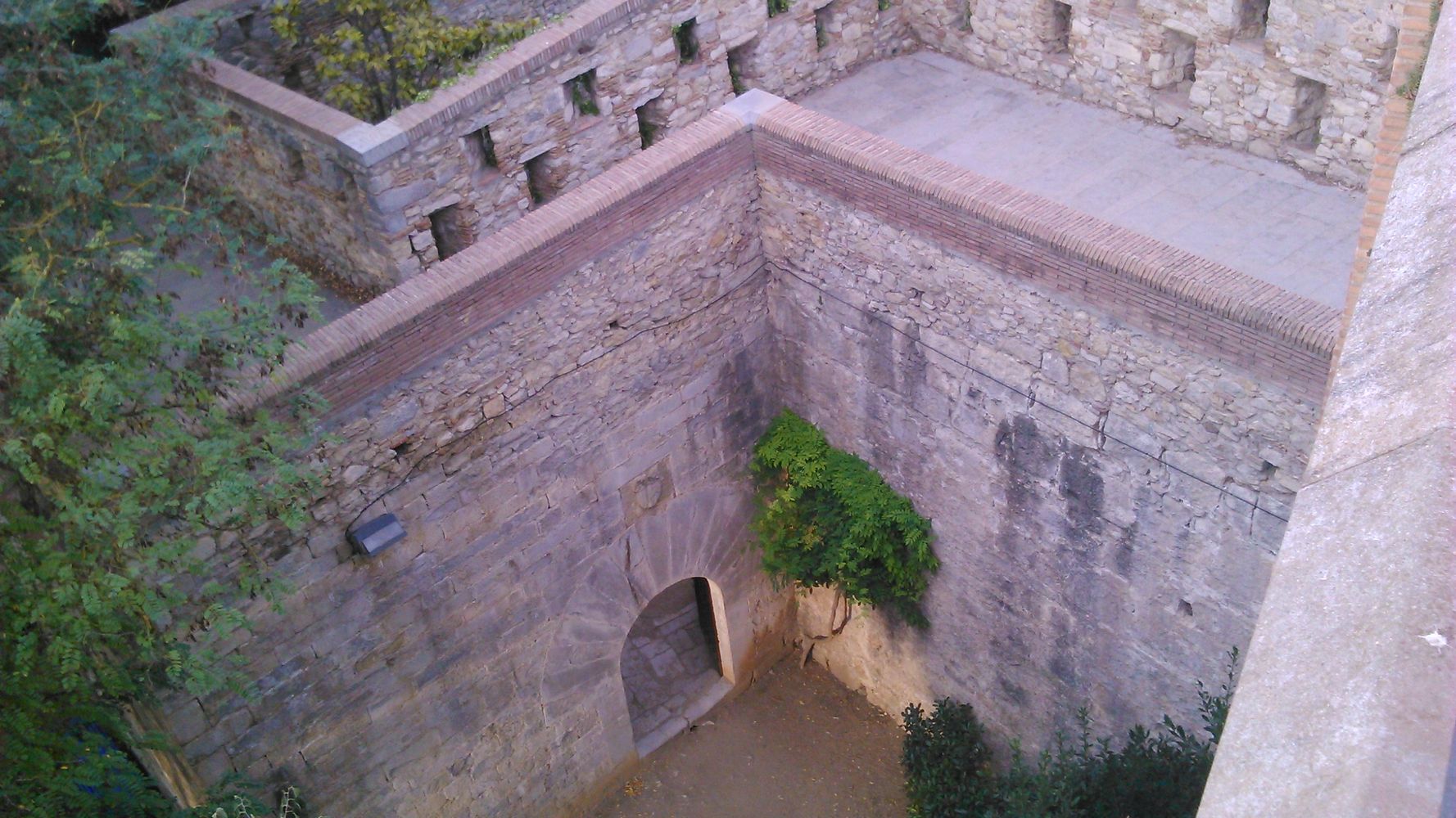 Arbre dans forteresse – 1K JPEG