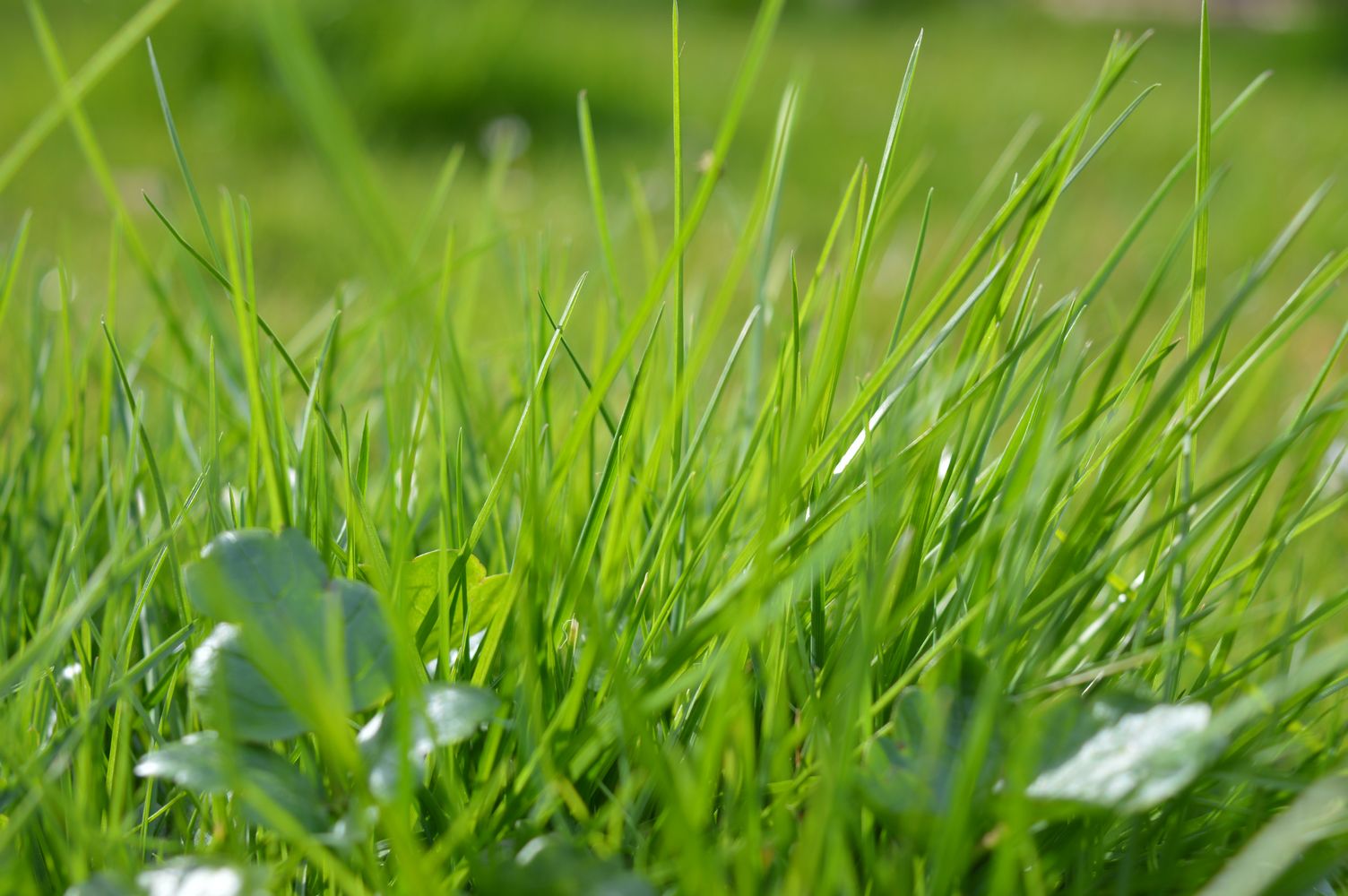 DSC_0202 6 – 1K JPEG