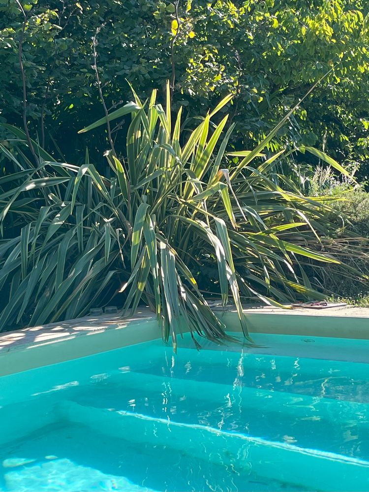 IMG_0685 – 1K JPEG