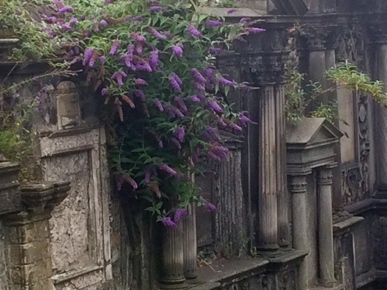 IMG_0833 – 1K JPEG