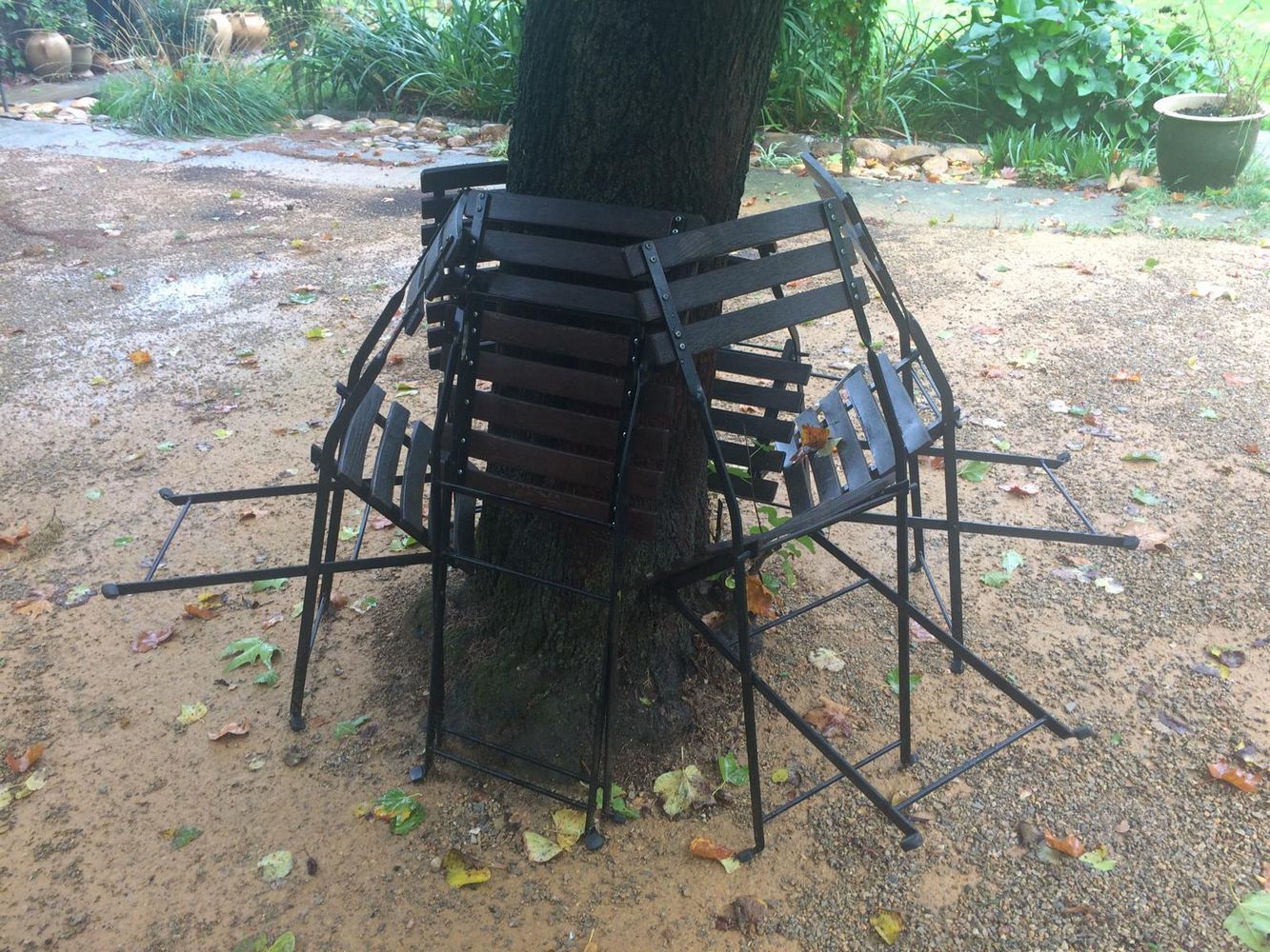 IMG_0840 – 1K JPEG