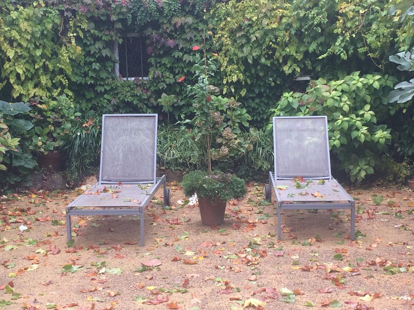 IMG_0841 – 1K JPEG