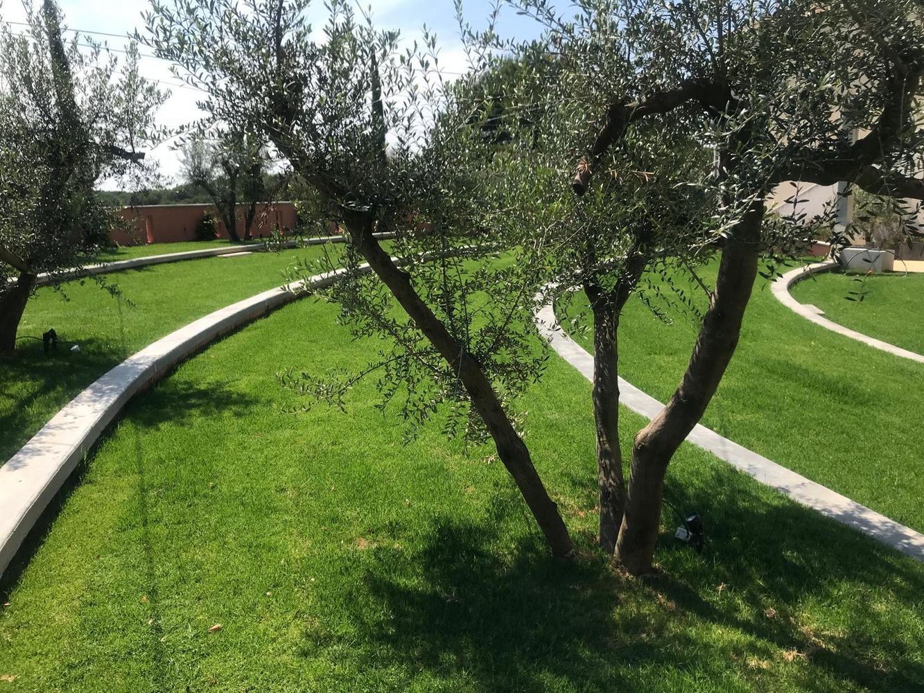 IMG_0910 – 1K JPEG