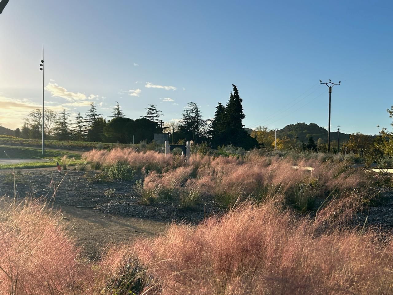 IMG_0962 – 1K JPEG