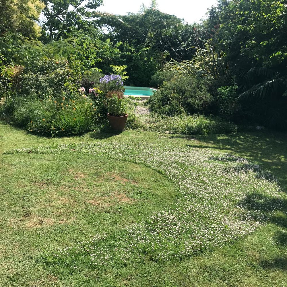 IMG_0990 – 1K JPEG