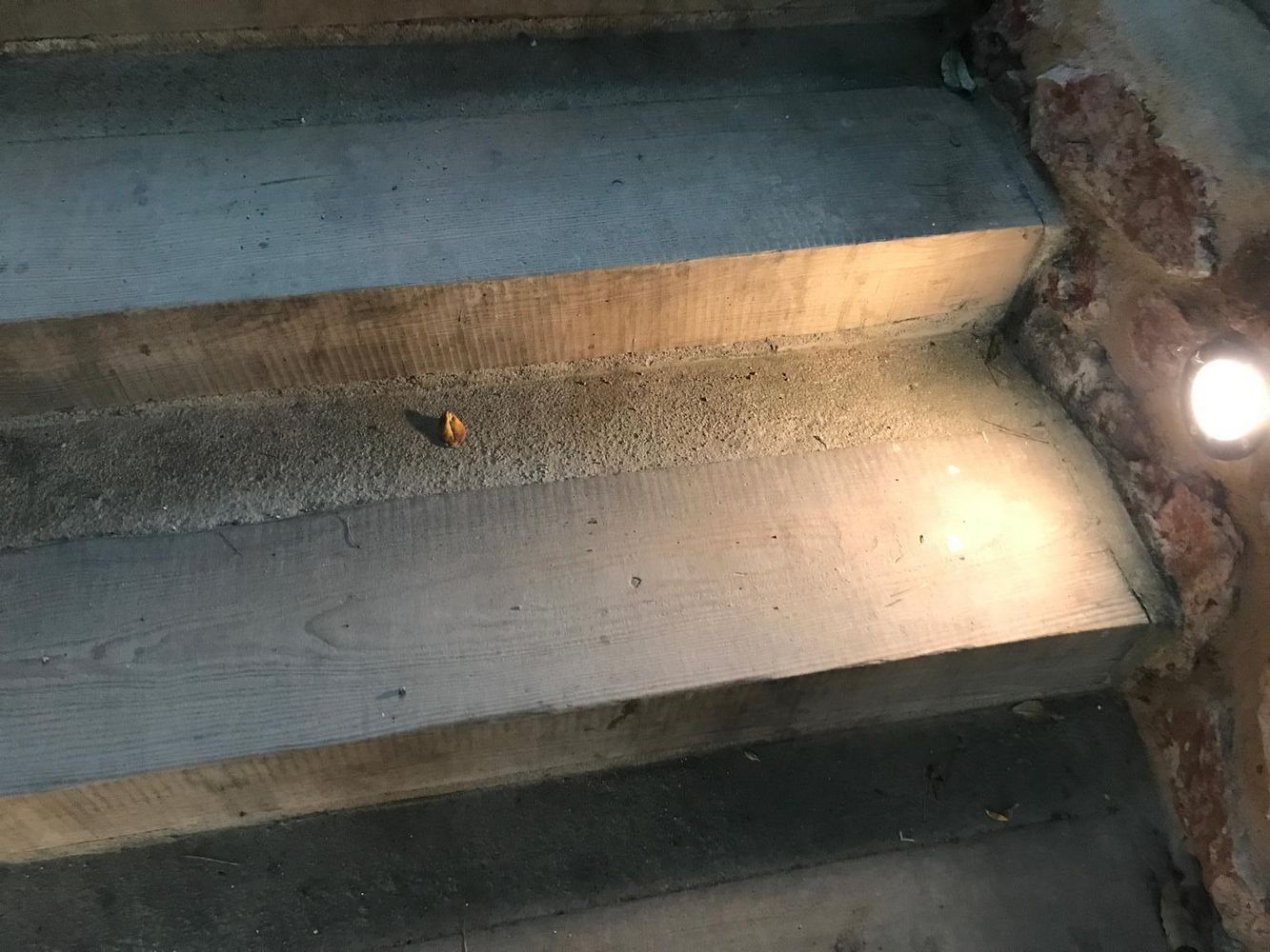 IMG_1009 – 1K JPEG