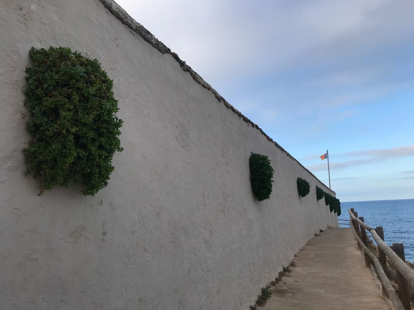 IMG_1010 – 1K JPEG