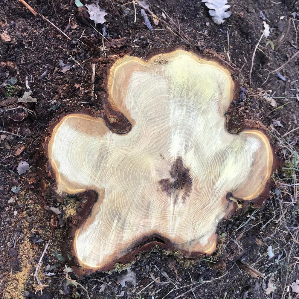 IMG_1025 – 1K JPEG