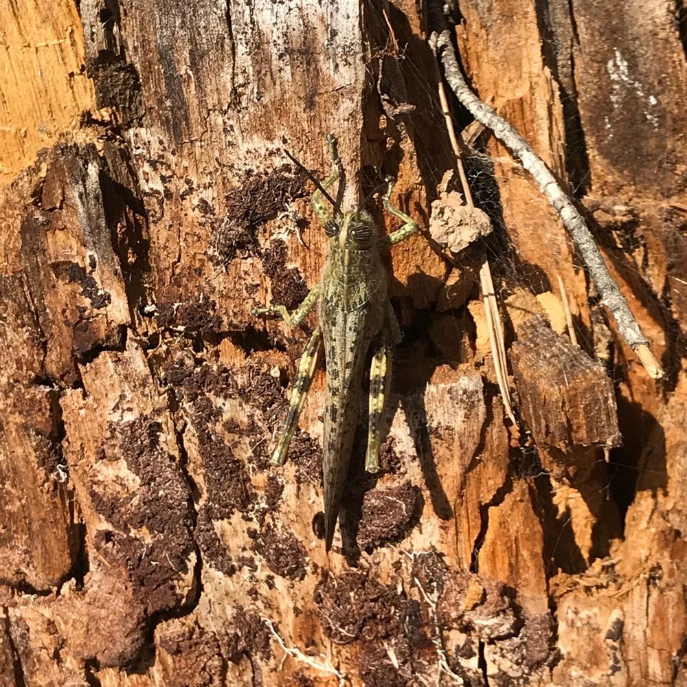 IMG_1031 – 1K JPEG