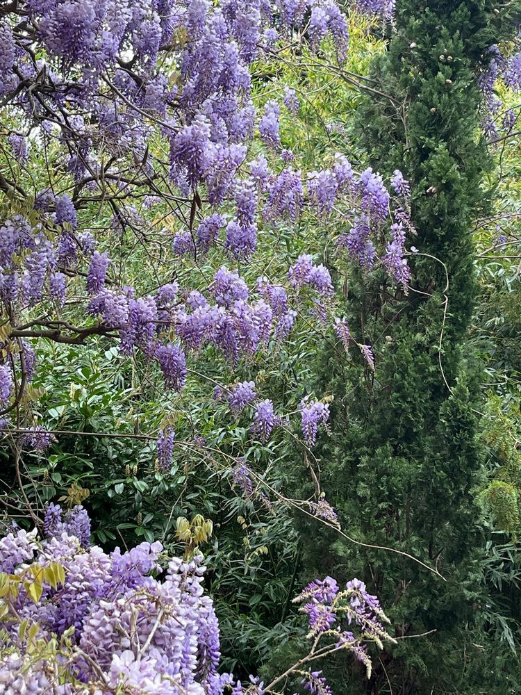 IMG_1055 – 1K JPEG