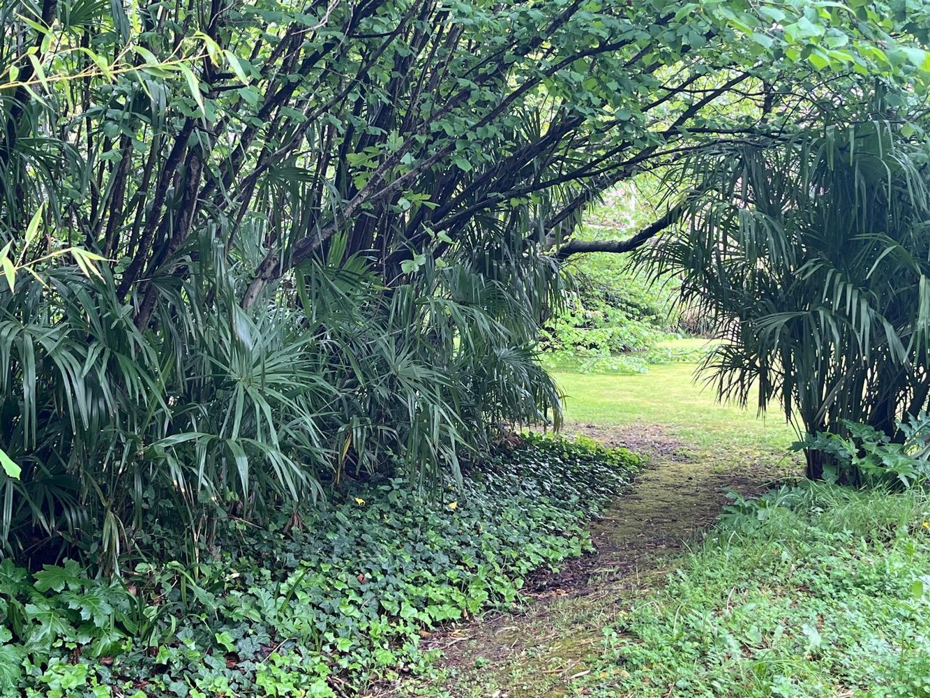 IMG_1056 – 1K JPEG