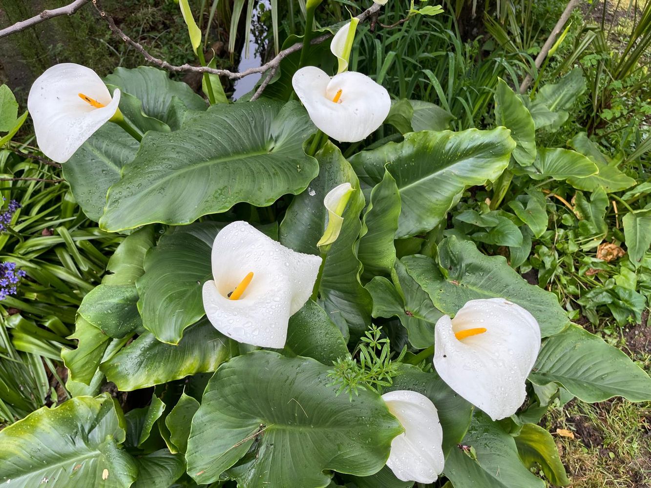 IMG_1057 – 1K JPEG