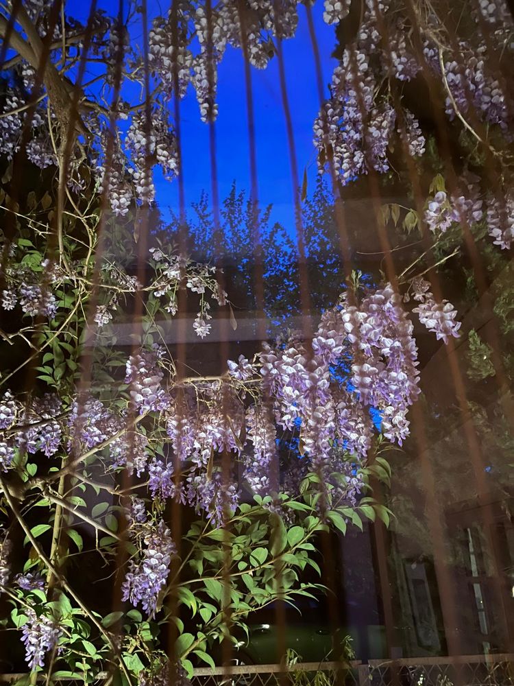 IMG_1058 – 1K JPEG