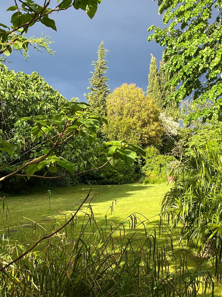 IMG_1064 – 1K JPEG