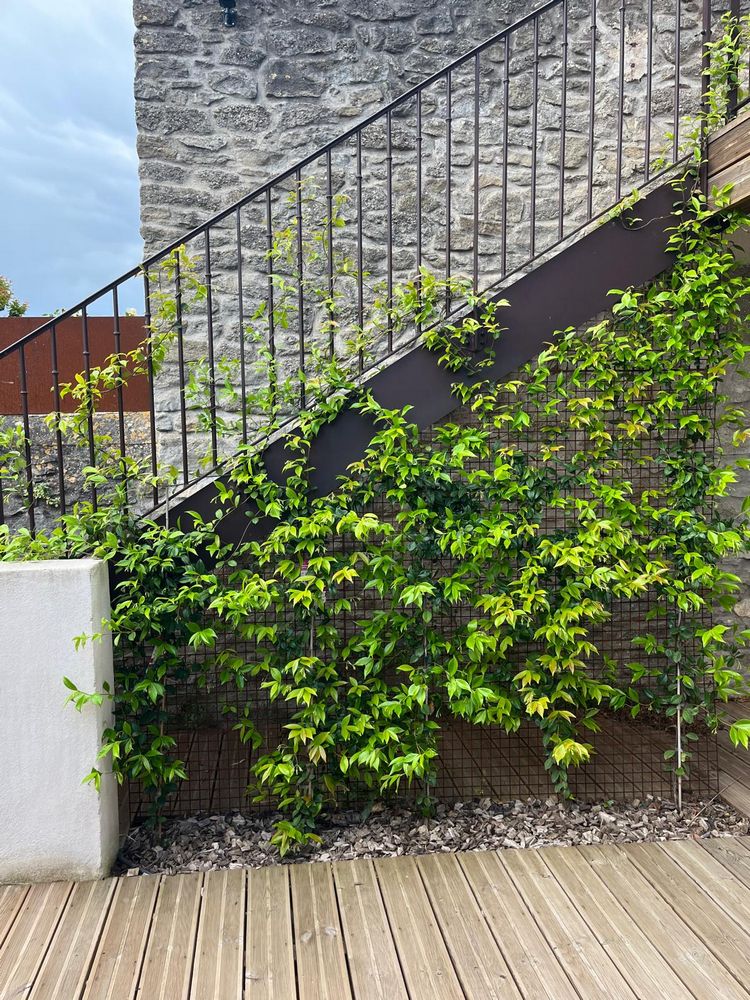 IMG_1067 – 1K JPEG