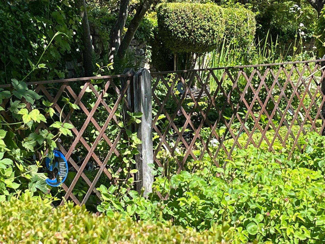 IMG_1078 – 1K JPEG