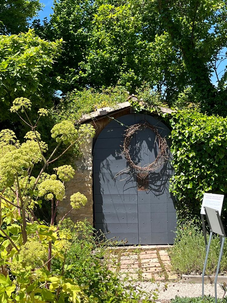 IMG_1086 – 1K JPEG