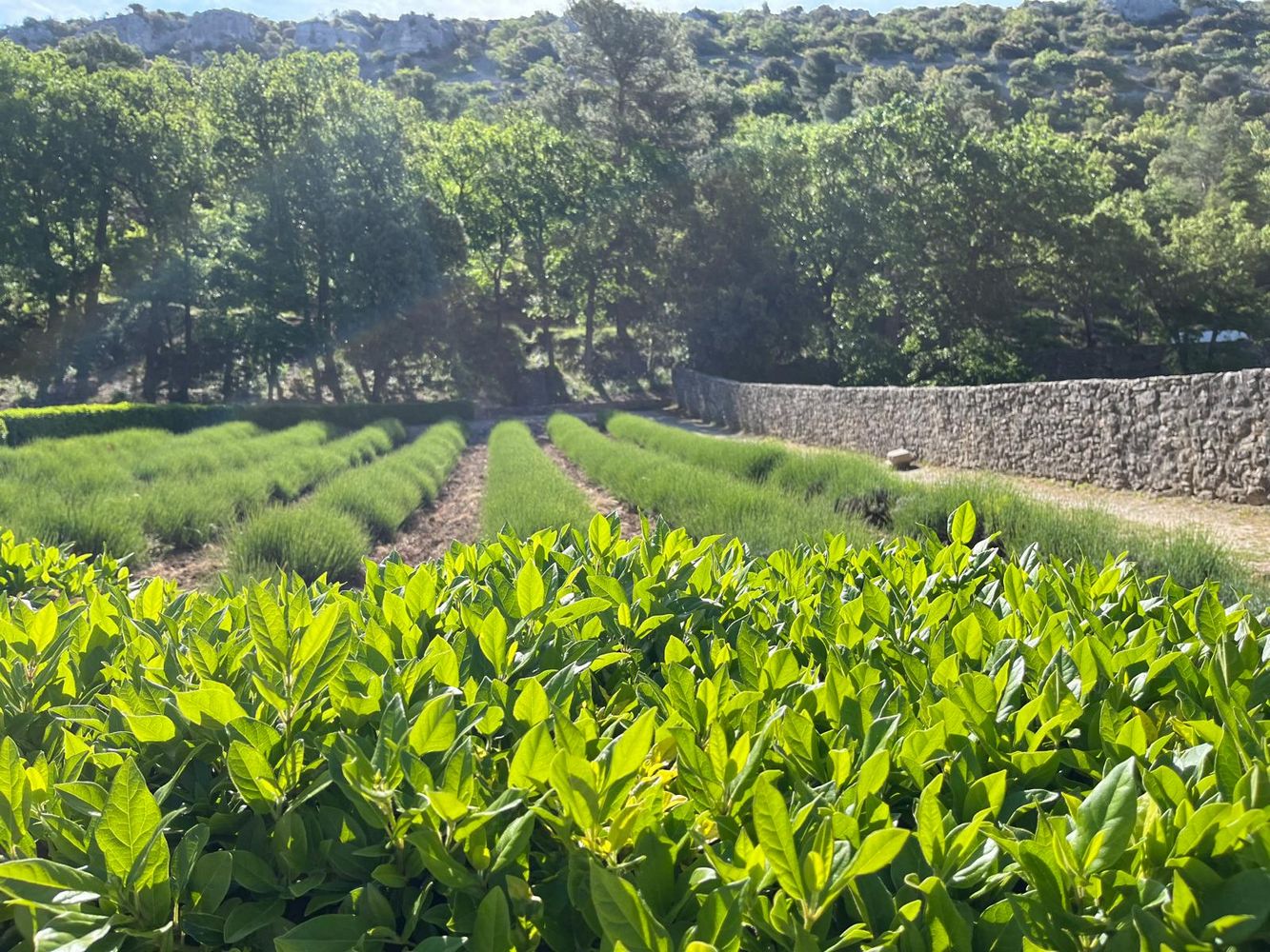 IMG_1092 – 1K JPEG