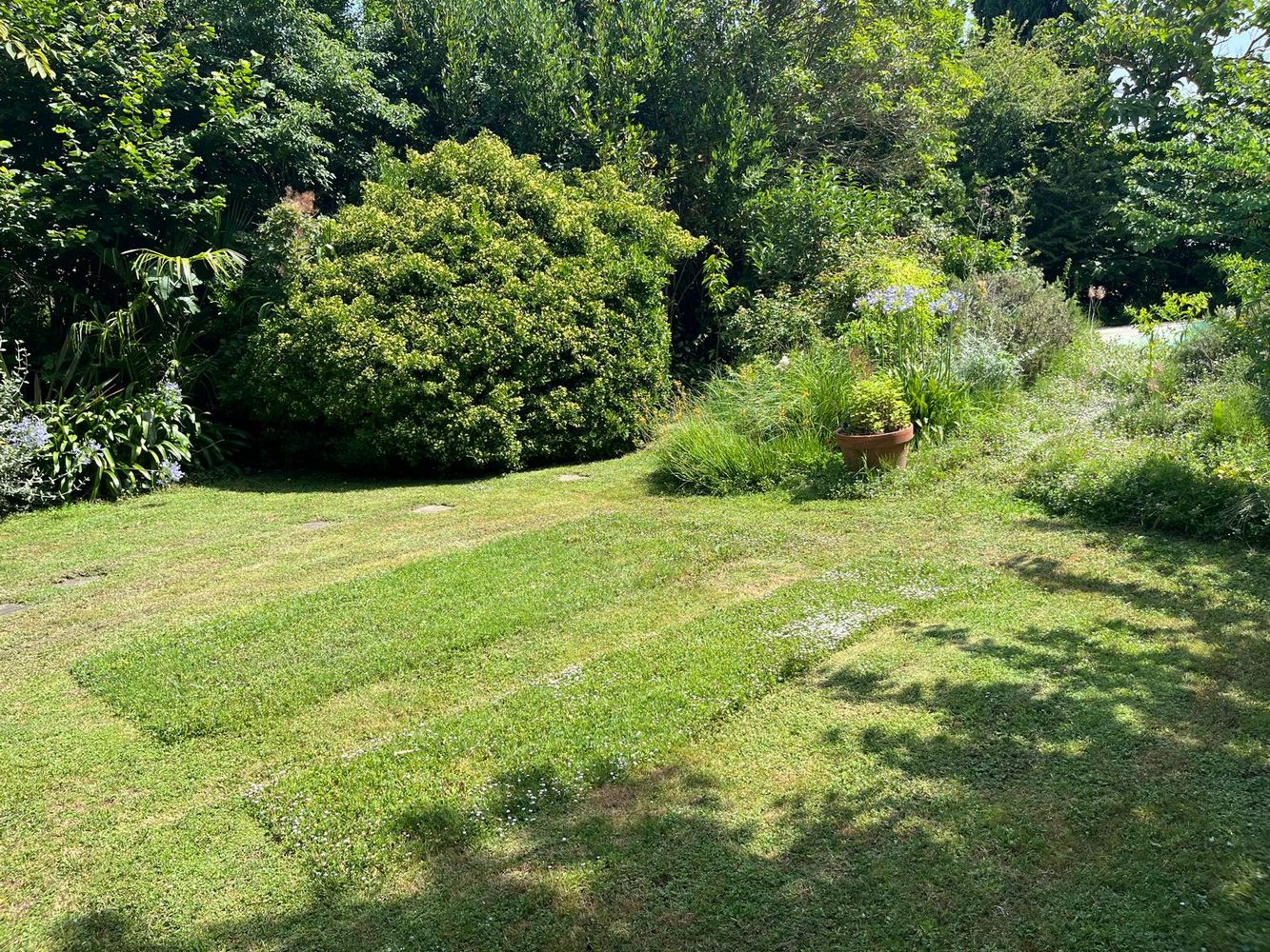 IMG_1096 – 1K JPEG