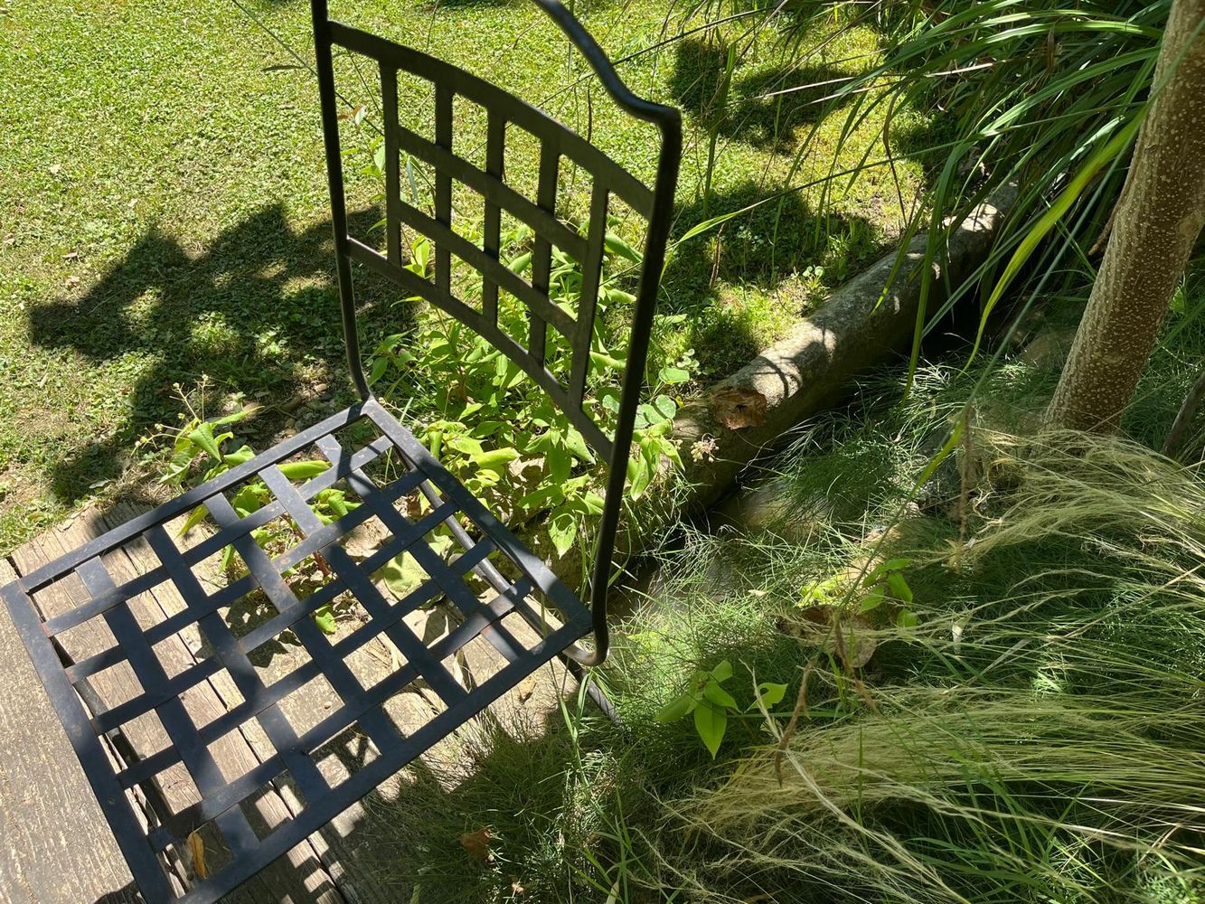 IMG_1097 – 1K JPEG