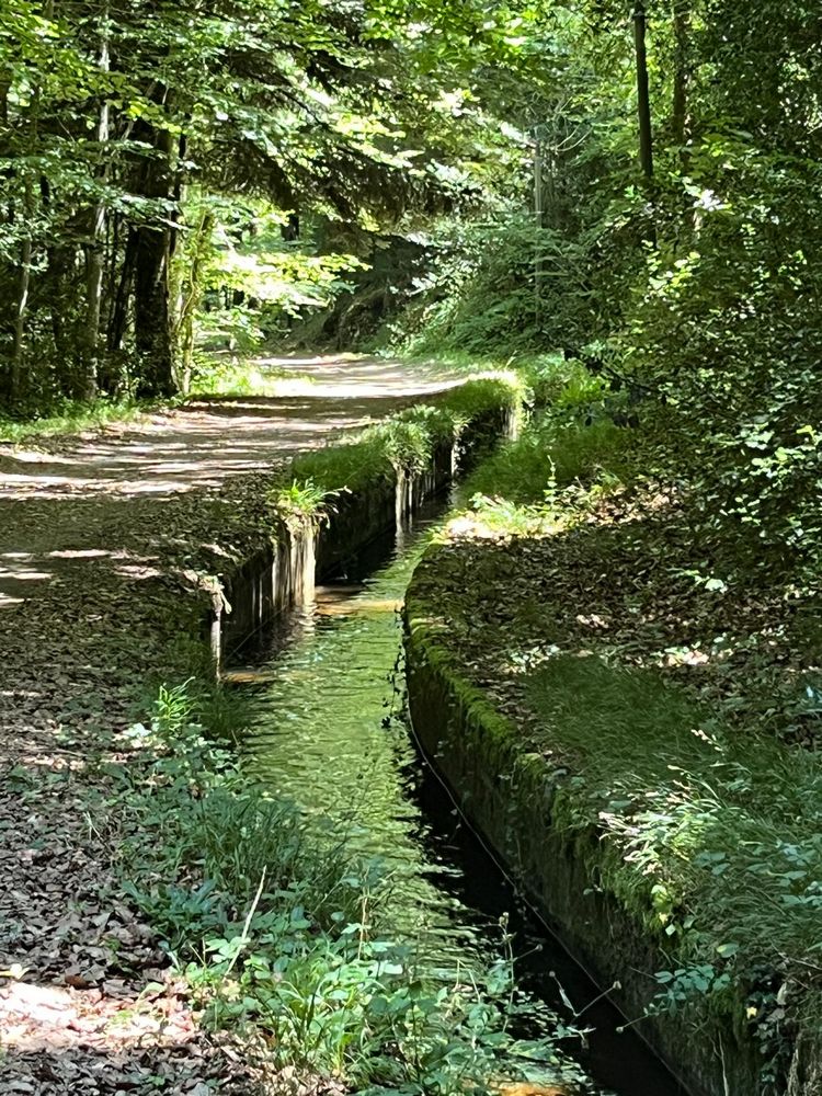 IMG_1123 – 1K JPEG