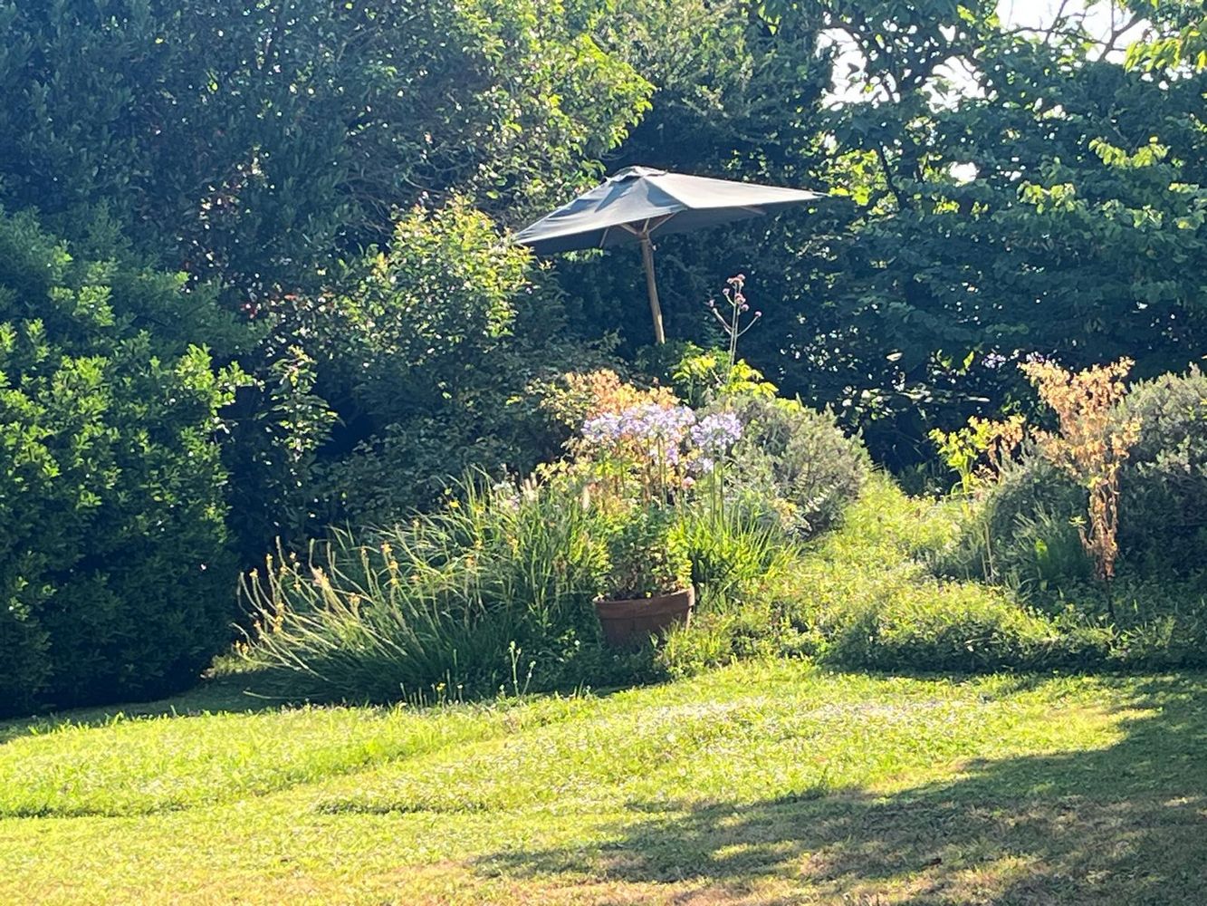 IMG_1144 – 1K JPEG