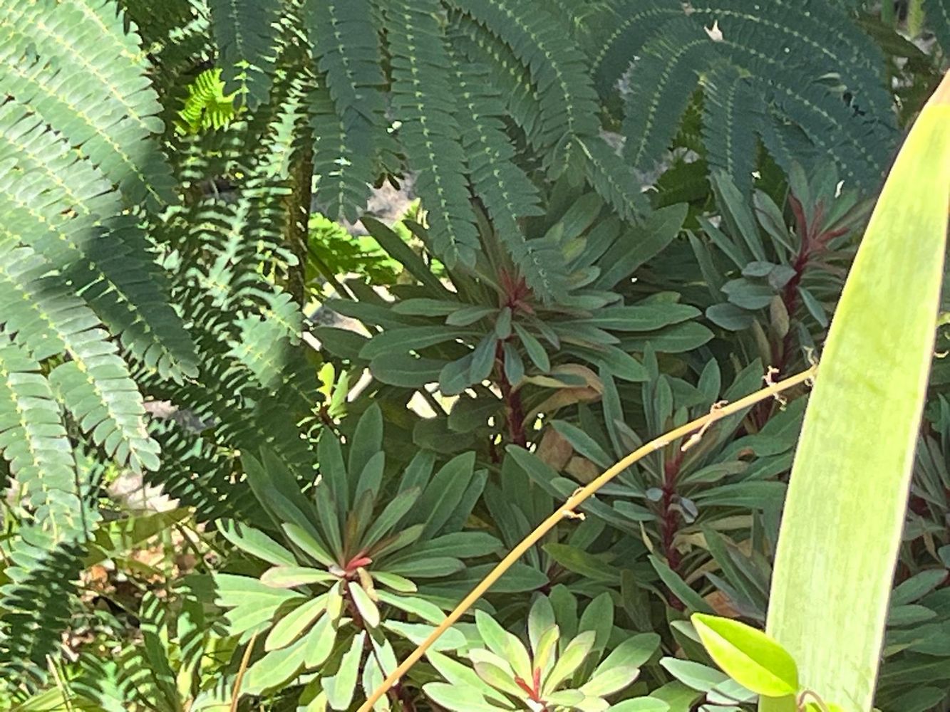 IMG_1162 – 1K JPEG