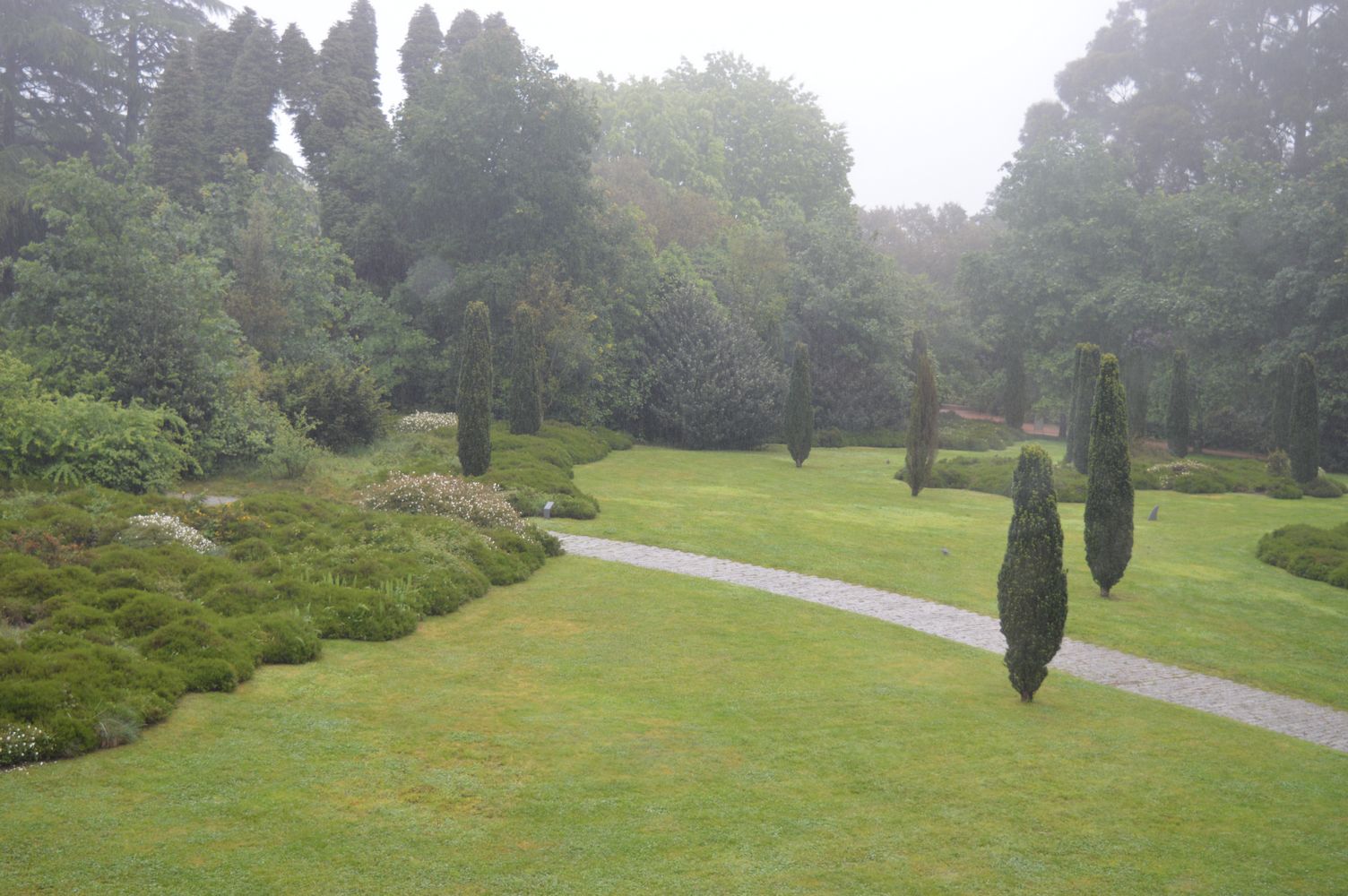 Parc avec cyprès – 1K JPEG