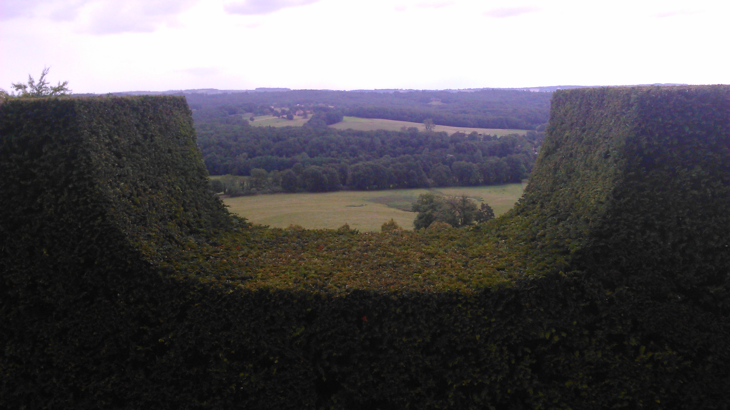 Topiaire à l’horizontale