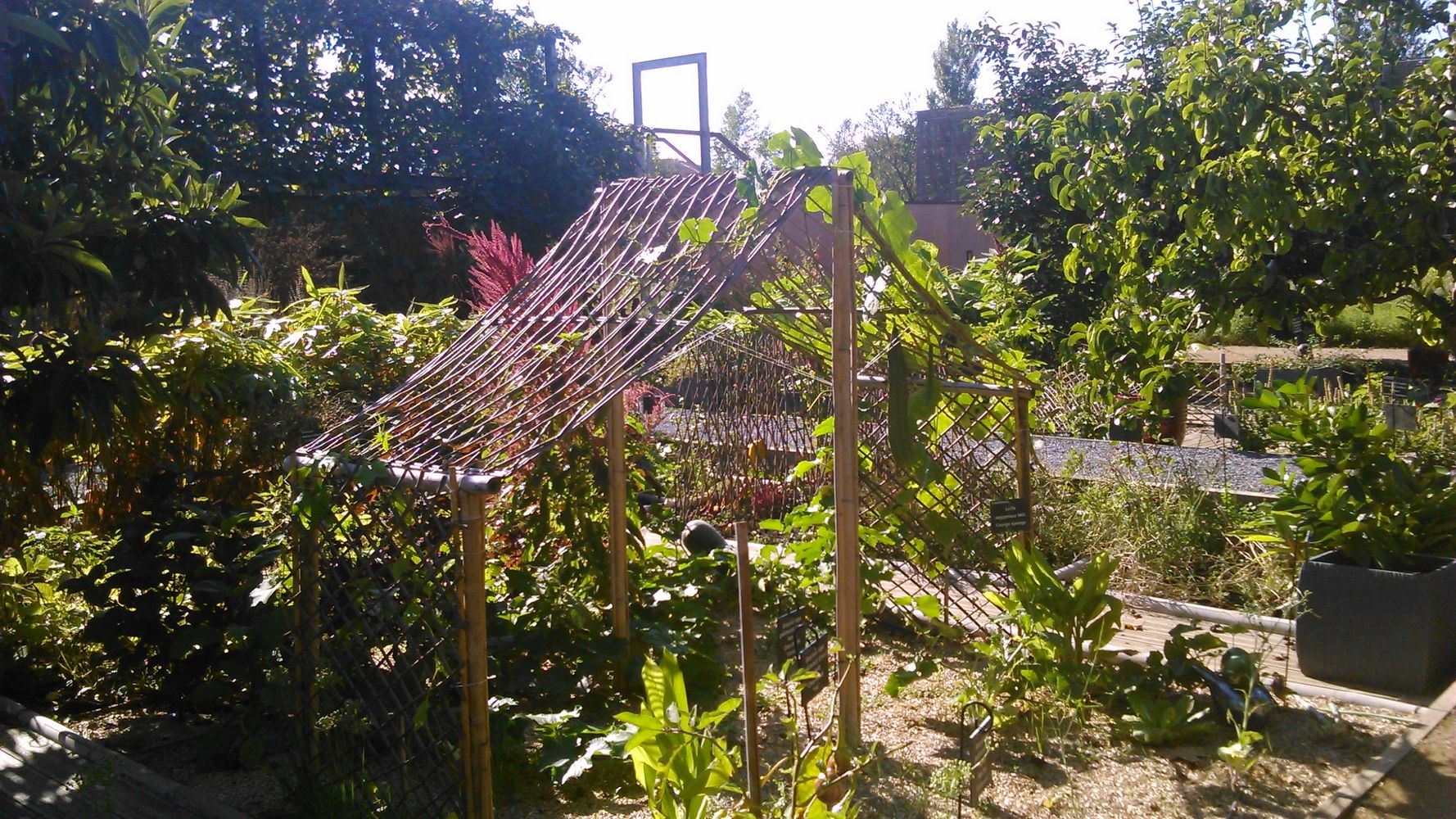 cabanes en osiers – 1K JPEG