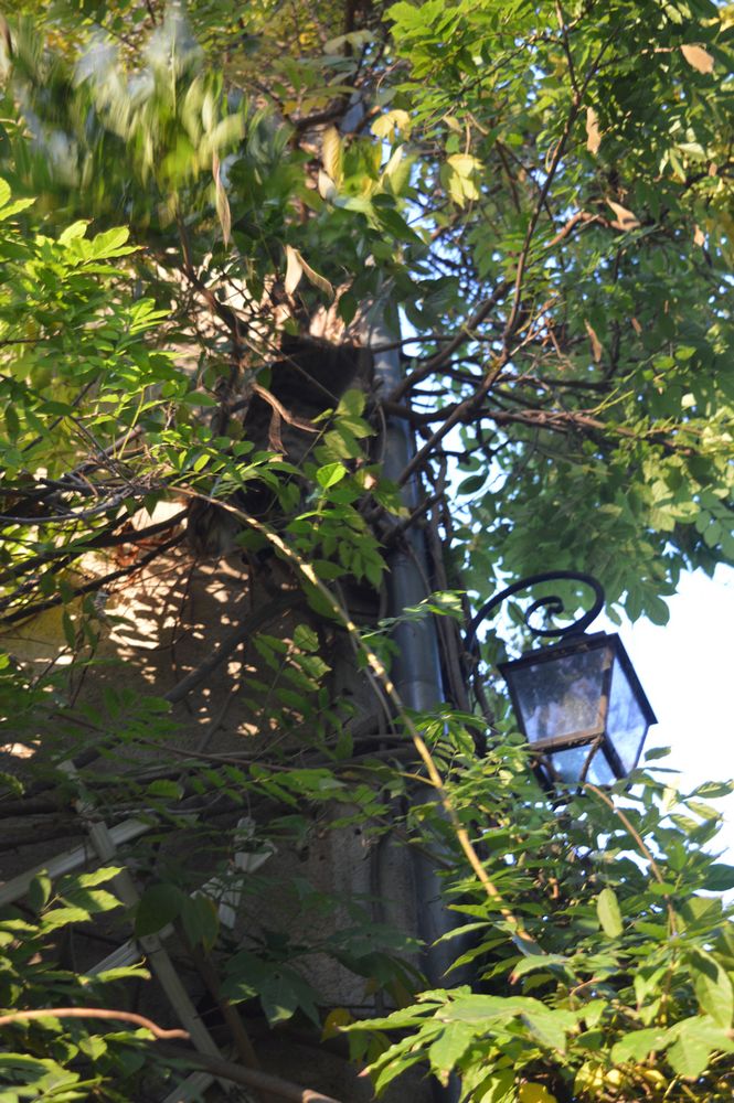 la lanterne – 1K JPEG