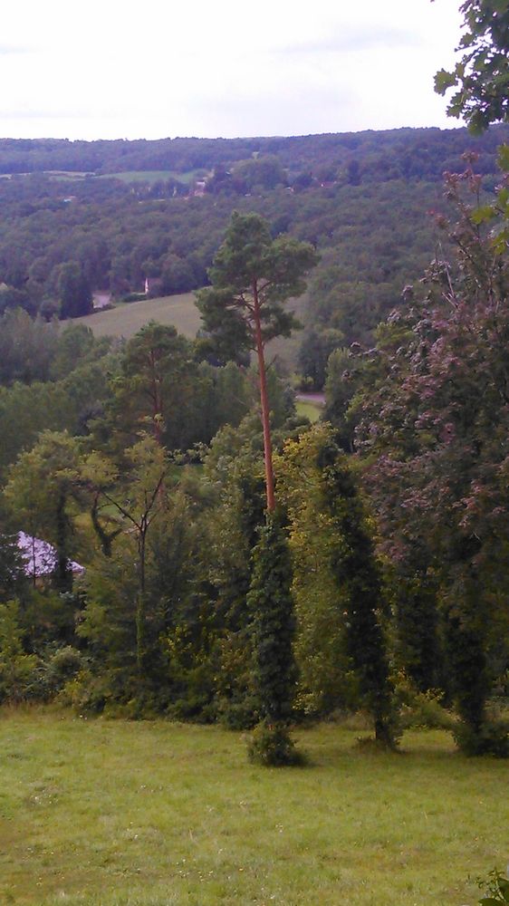 pin habillé – 1K JPEG