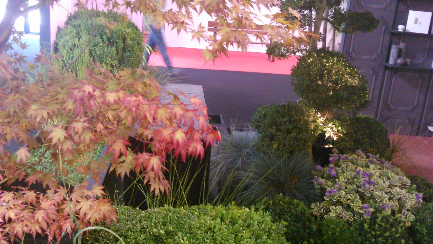 salon habitat – 1K JPEG