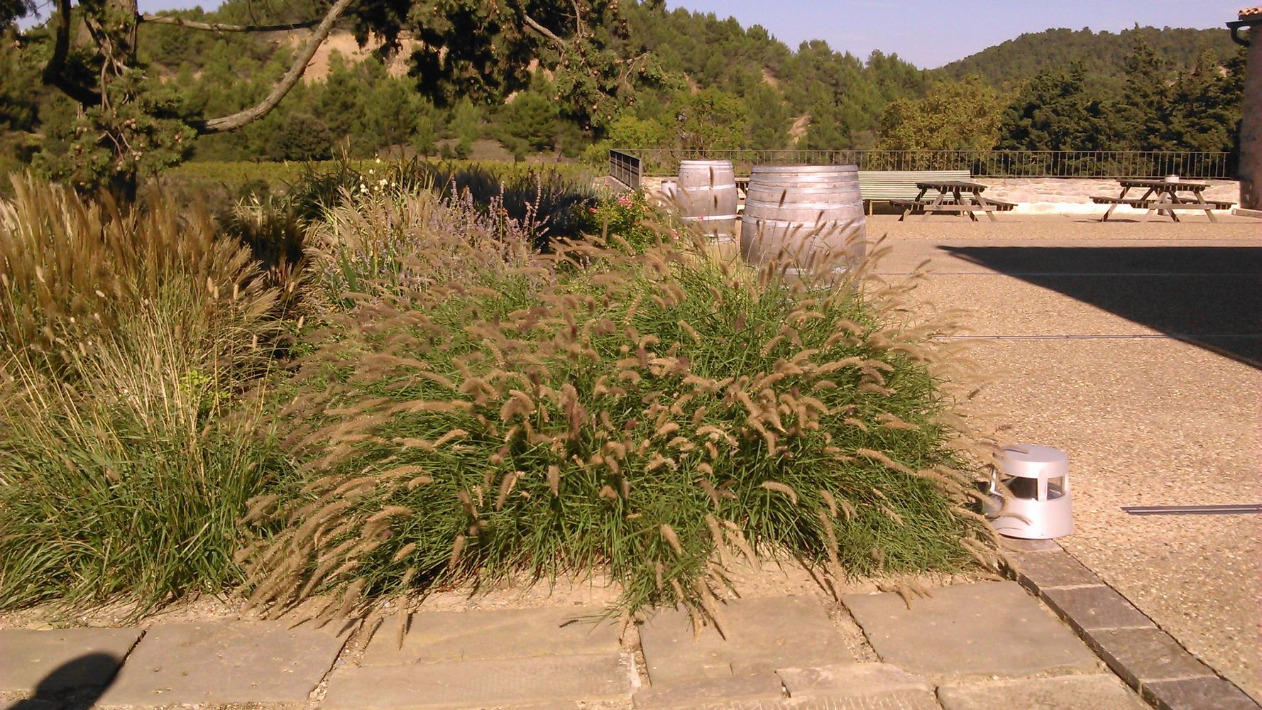 st jacques haut – 1K JPEG